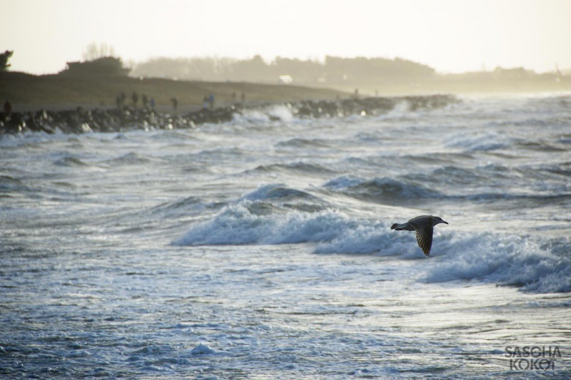 51-hiddensee.2o14-256f-fb-saschakokot