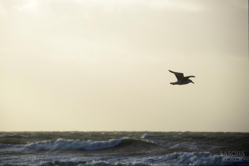 52-hiddensee.2o14-235f-fb-saschakokot