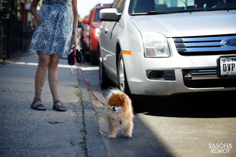 020new-york_2016_-0175f_fb